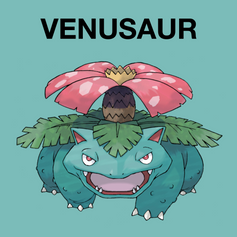 Venusaur-POKEMILLON - La Tienda Pokémon