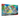 Venusaur ex and Blastoise ex Premium Collection
