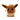 Pouch Eevee Pokémon