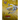 Panfleto promocional amarillo de Pokémon Neo Genesis con ilustraciones de Lugia, Gligar y Pichu sobre fondo brillante.