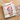 POKEMILLON Álbum 360 Bolsillos Pokémon 151