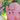 Todas las cartas de Battle Partners-POKEMILLON - La Tienda Pokémon