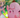 Todas las cartas de Battle Partners