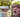 La caja de 3,5 millones de dólares de Logan Paul puede ser falsa