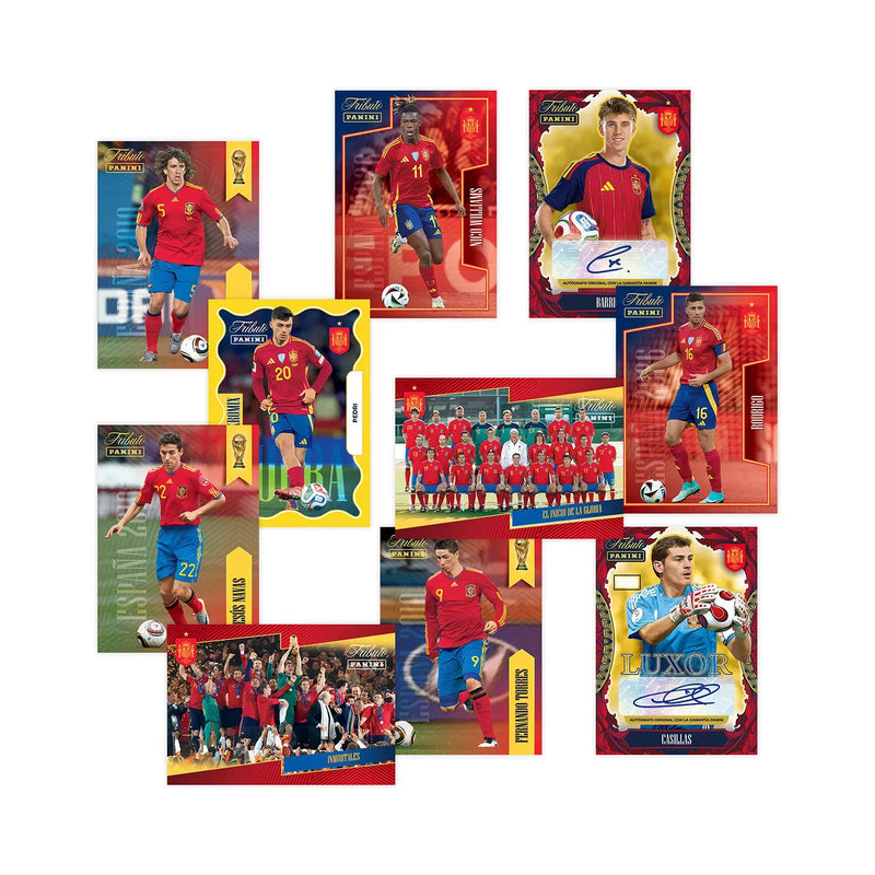 Panini Tributo ¡VAMOS CAMPEONES! 2010-2026 Pokemillon 004