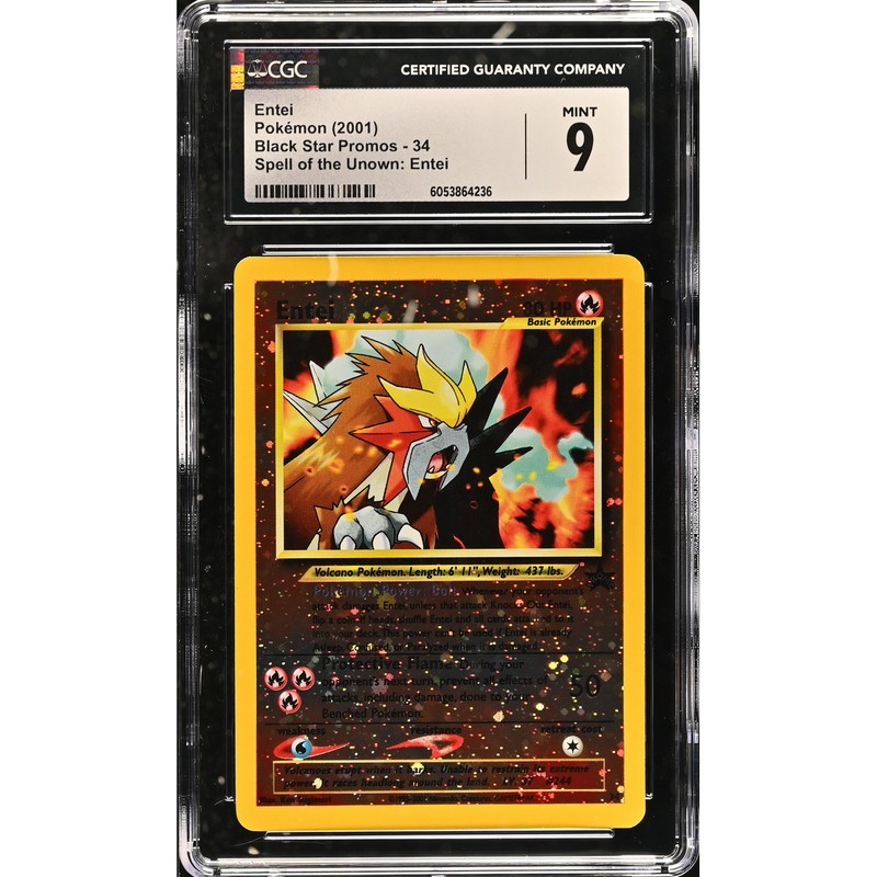 Entei Spell of the Unown The Movie Promo Pokemillon 001
