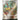 POKEMILLON Pokémon | Caja Kingambit Illustration Collection Fábula Sombría Español 2024
