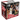 Topps | 2023-24 Topps G League Basketball